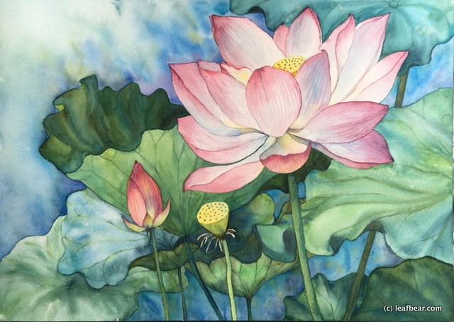 Summer Lotus