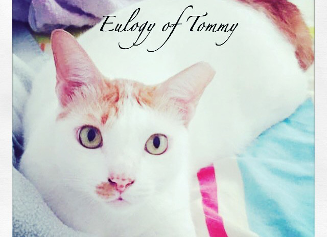 Eulogy of Tommy