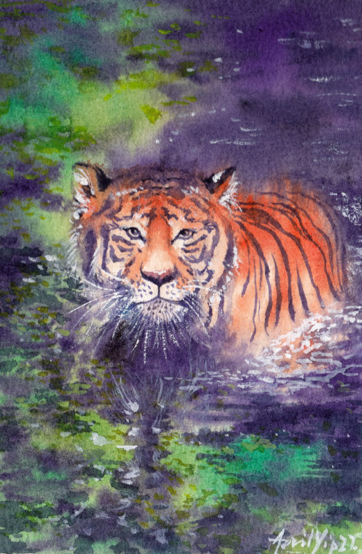 Water Tiger, 11x17cm, USD 65
