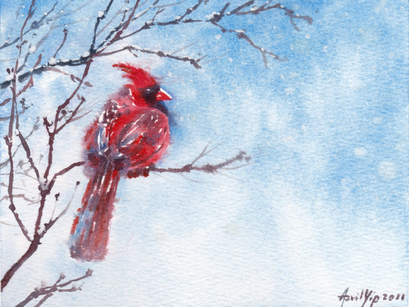 RedBird,17x13cm, USD 65