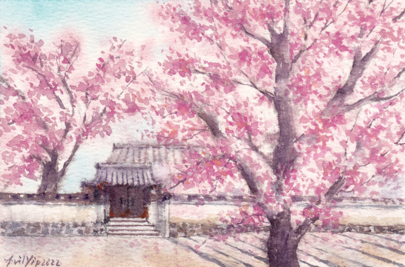 Sakura, 17x11cm, USD 65